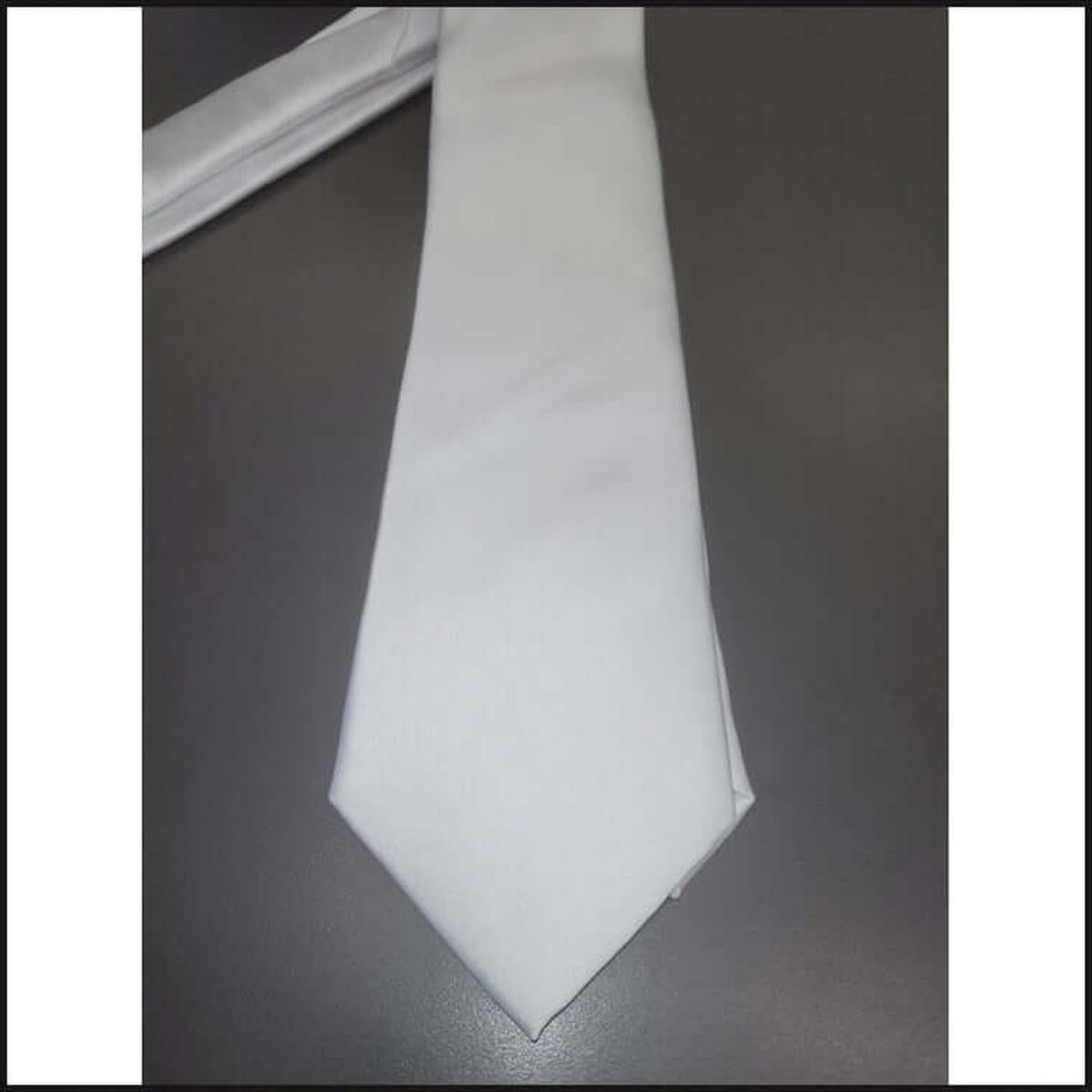 Barcelona Solid Microfiber Neck Ties - That Guy's Secret