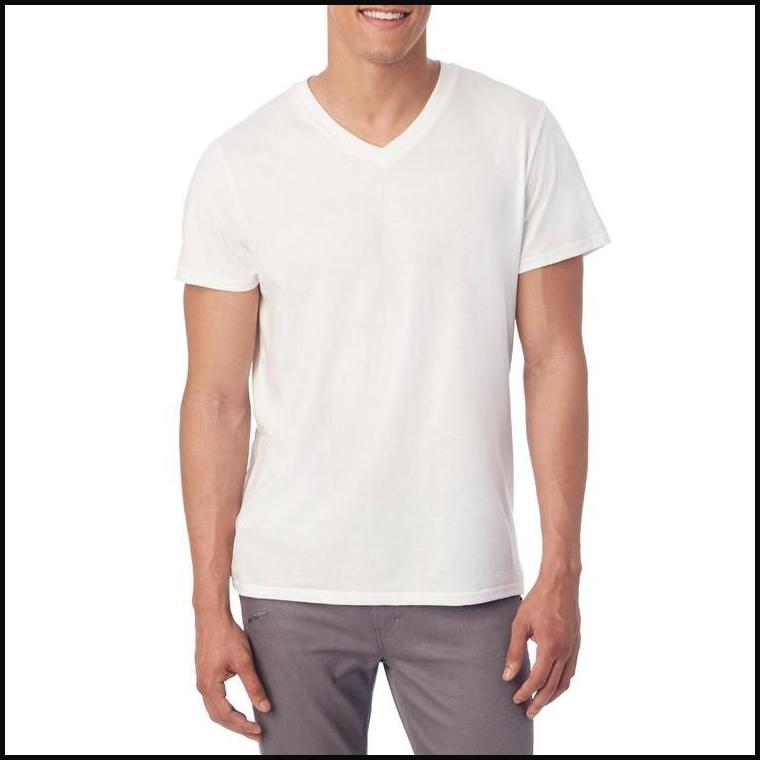 Alternative Apparel Organic Pima V-Neck T-Shirt – That