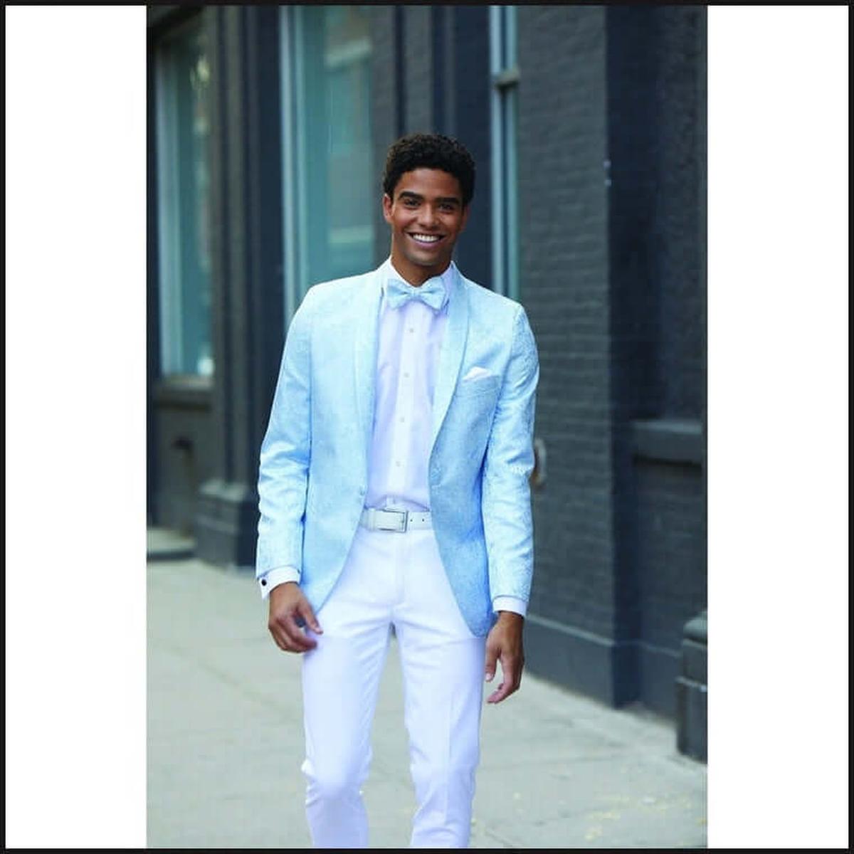 MOD Wedgewood Aires Paisley 293M - That Guy's Secret