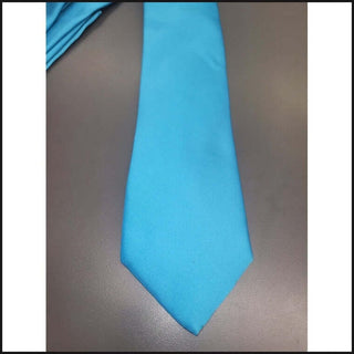 Barcelona Solid Microfiber Neck Ties - That Guy's Secret