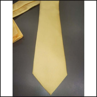 Barcelona Solid Microfiber Neck Ties - That Guy's Secret