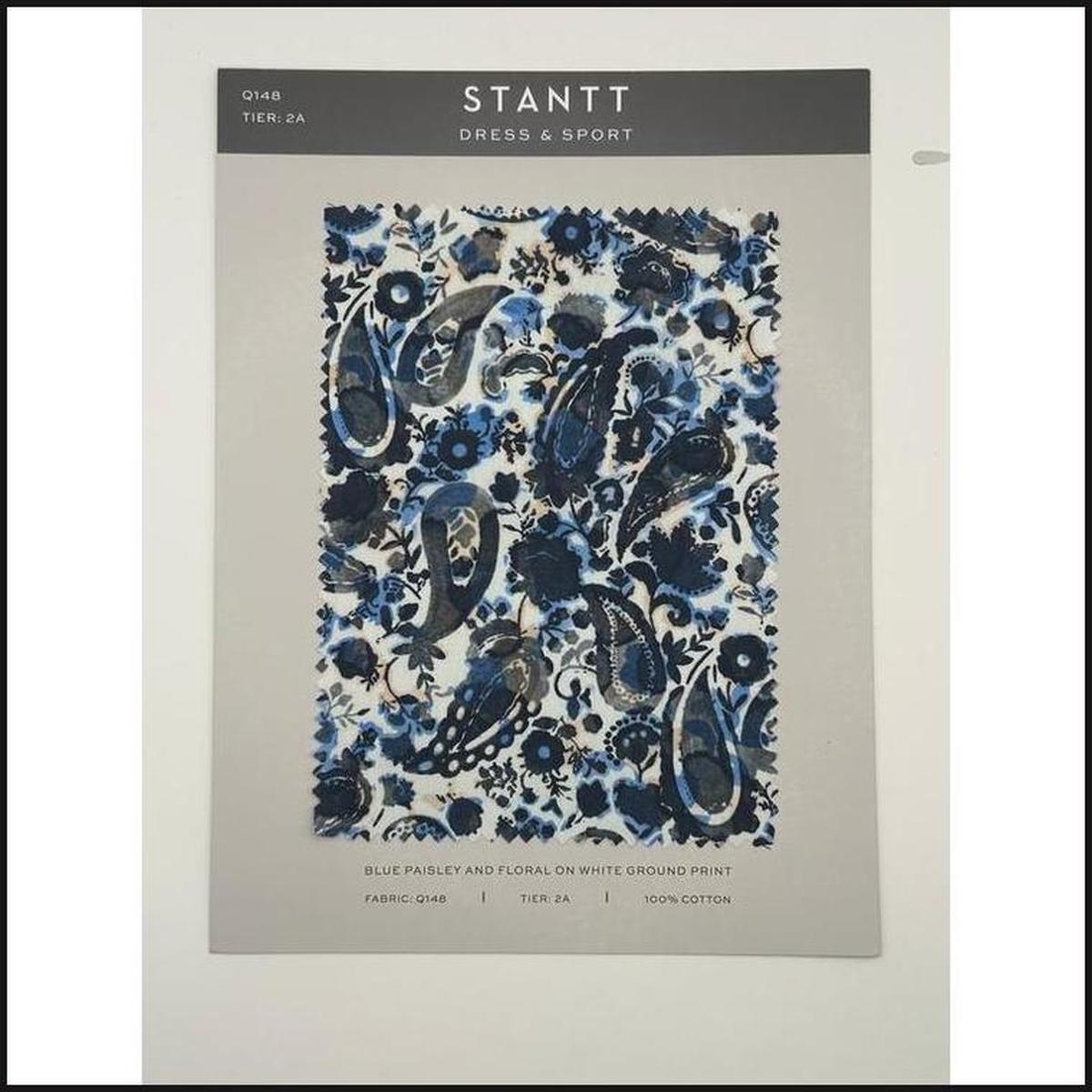 Stantt Custom Shirt Tier 2A-Dress Shirt-That Guy's Secret