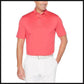 Callaway Micro Hex Polo-Polo Shirt-That Guy's Secret