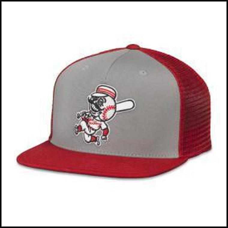 Cincinnati Reds American Needle Pastime Gatekeeper Snap Back Hat-Hat-That Guy's Secret