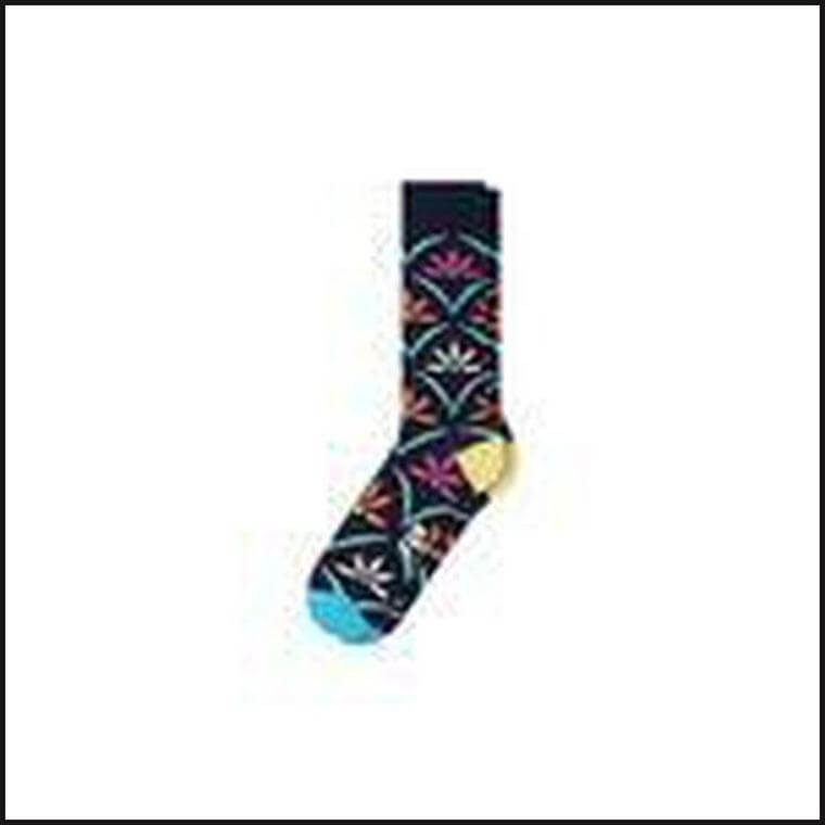 Fun Socks (Assorted) - That Guy's Secret