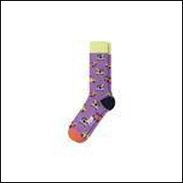 Fun Socks (Assorted) - That Guy's Secret